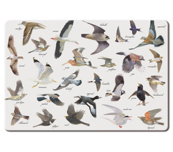 bekking_&_blitz_placemat_vogels[1].jpg
